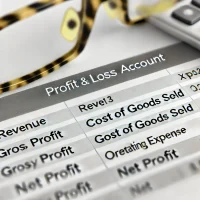 profit and loss account format