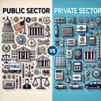 difference between public and private sector