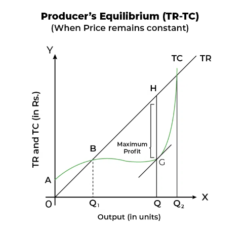 Producer Equilibrium