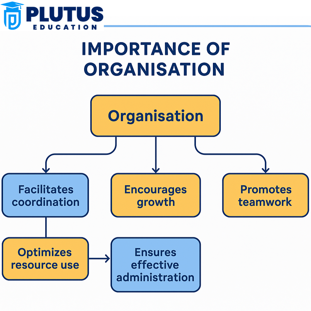 importance of organization