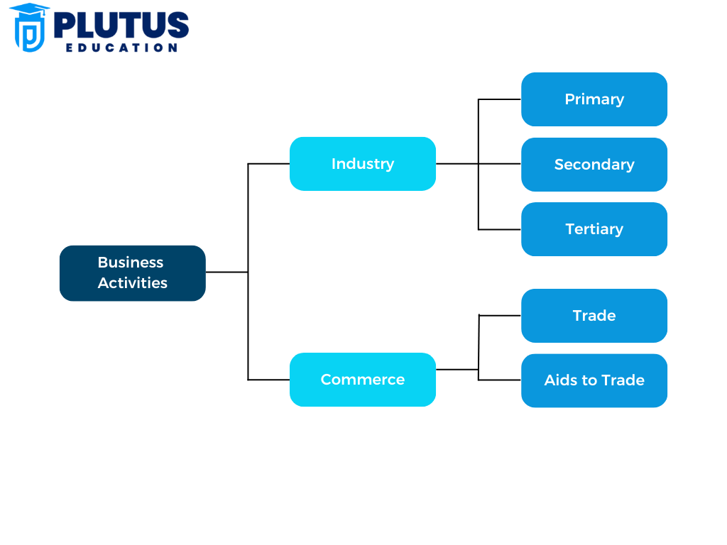 How Would You Classify Business Activities