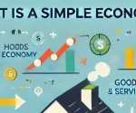 what is simple economy