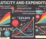 elasticity and expenditure