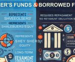 difference between owners funds and borrowed funds