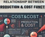 relationship between production function and cost function