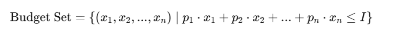 What is Budget Set? Meaning, Equation, Diagram & More
