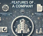 features of a company