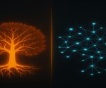 difference between centralization and decentralization