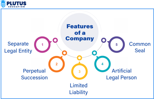 features of a company