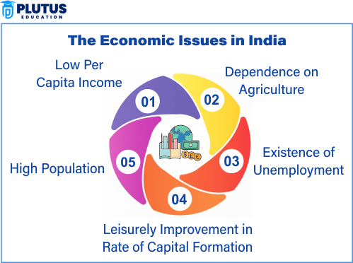 Economic Challenges in India