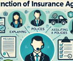 Function of Insurance Agent