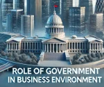 role of government in business environment