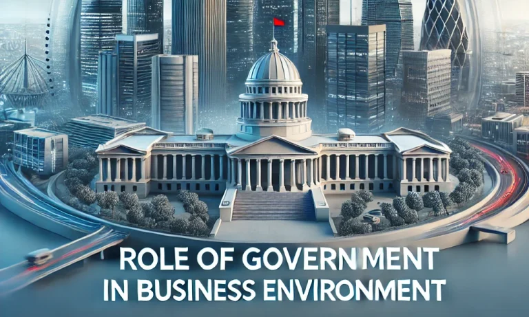 role of government in business environment