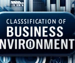 classification of business environment