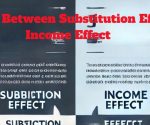 Difference Between Substitution Effect and Income Effect