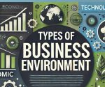 what are the types of business environment