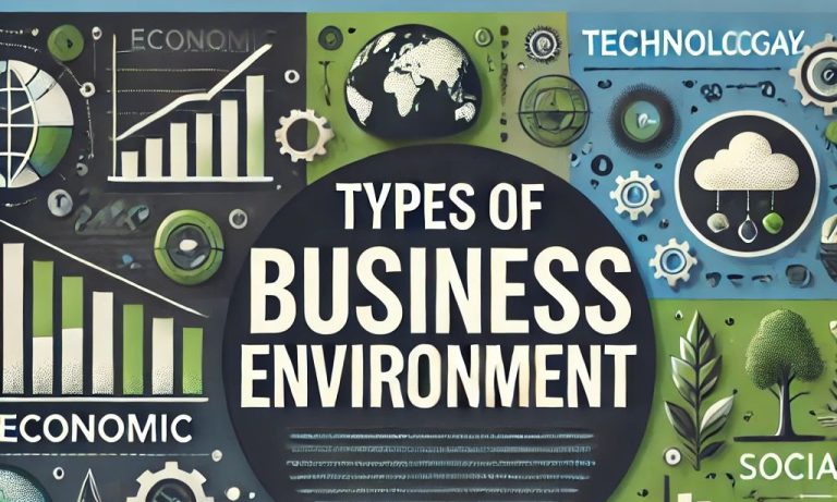 what are the types of business environment