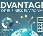 Advantages of Business Environment