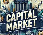 What is Capital Market