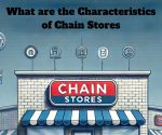 What are the Characteristics of Chain Stores