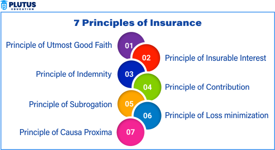 Principles of Insurance