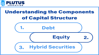 Components of Capital Structure