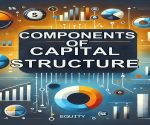 Components of Capital Structure