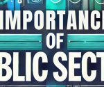 importance of public sector