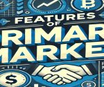 features of primary market