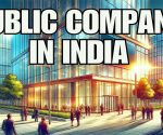 Public Company examples