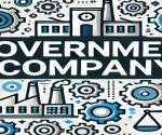 what is government company