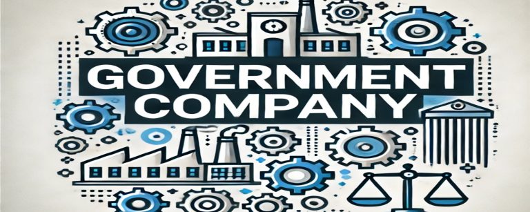 what is government company