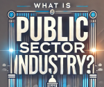 what is public sector industry