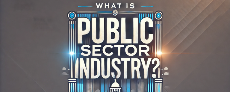 what is public sector industry